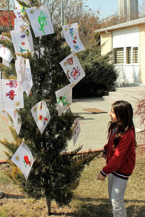 Tema Öğretmen Eğitimi, fotoğraf 10