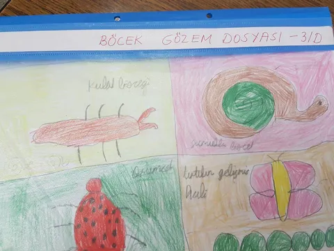 Böcek Şenlik Okulu Gazeteci Hasan Tahsin İlkokulu Böcek Şenlik Okulu Eğitimleri, fotoğraf 3