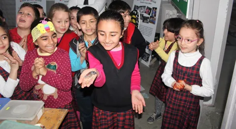 Böcek Şenlik Okulu Gazeteci Hasan Tahsin İlkokulu Böcek Şenlik Okulu Eğitimleri, fotoğraf 5