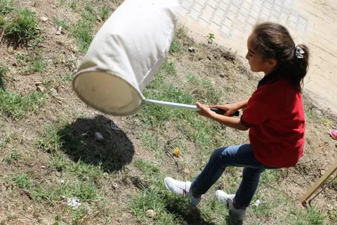 Kırıkkale Delice ilçesinde Böcek Şenliği, fotoğraf 9