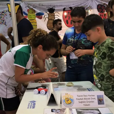Böcek Şenlik Okulu Mersin'de Avrupa Bilim Eğlence ve Tübitak 4007 Bilim Şenliği'nde, fotoğraf 5