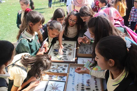 Böcek Şenlik Okulu, Ankara Üniversitesi Bilim Şenliği'nde, fotoğraf 3