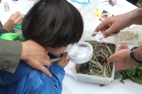 Böcek Şenlik Okulu (BÖŞO) 18 Mayıs'ta İstanbul'da Pets and Kids Festivalinde, fotoğraf 8