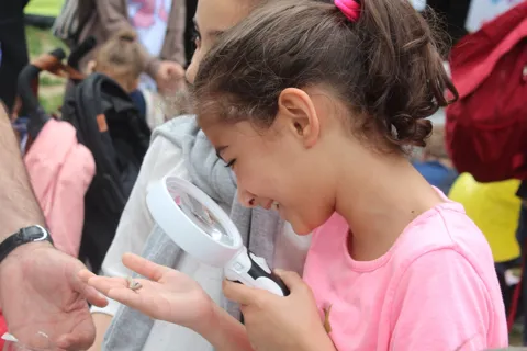 Böcek Şenlik Okulu (BÖŞO) 18 Mayıs'ta İstanbul'da Pets and Kids Festivalinde, fotoğraf 9
