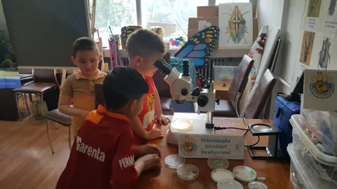 Böcek Şenlik Okulunda ekolojik yaşamla ilgili atölye eğitimi, fotoğraf 8